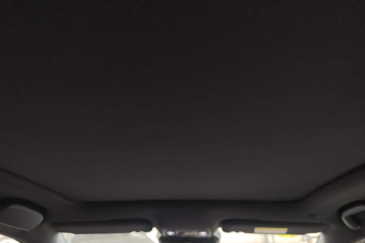 Used BYD Dolphin 2025 Intelligent Driving Version 410 km Fashion Edition Headliner