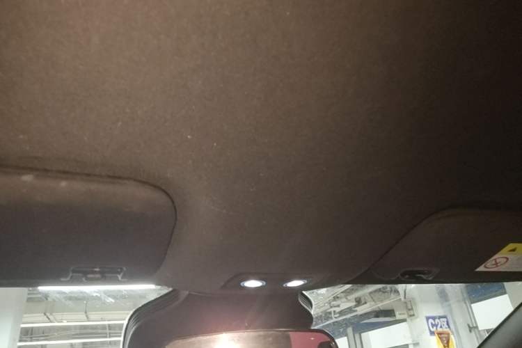 Used BYD Dolphin 2025 Smart Drive Version 420 km Freedom Edition Headliner