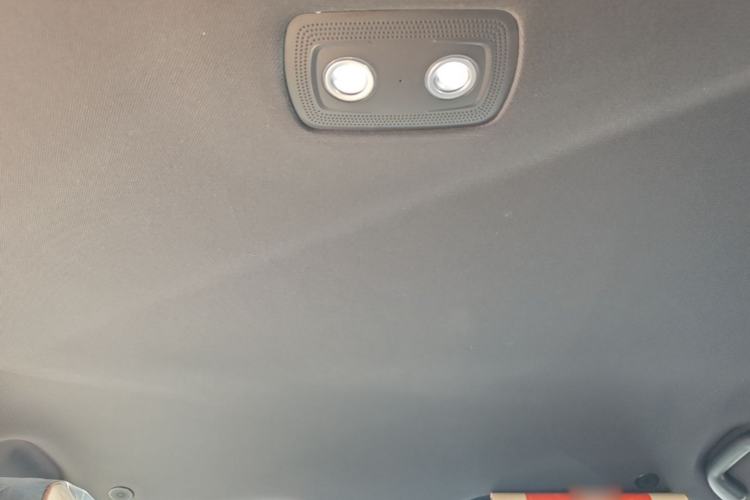 Used BYD Dolphin 2025 420km Free Edition Headliner