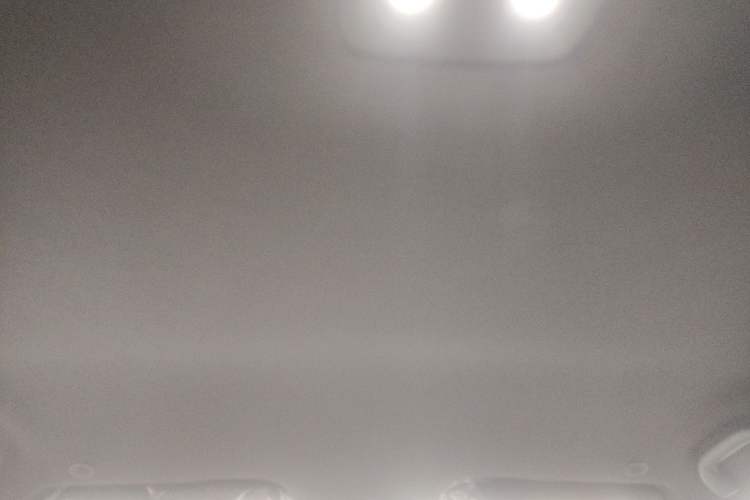 Used BYD Dolphin 2025 420km Free Edition Headliner