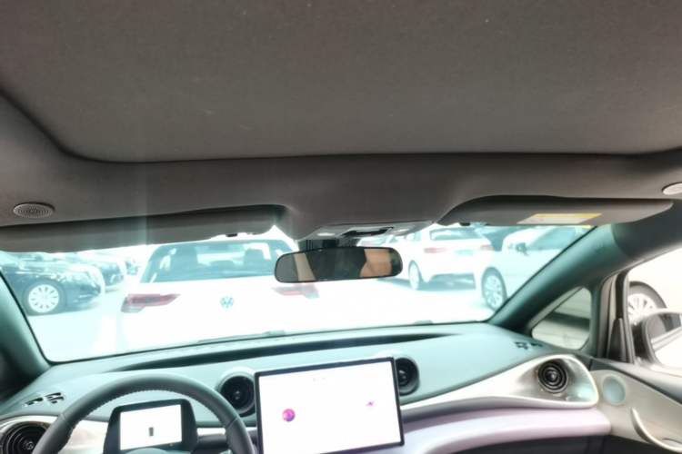 Used BYD Dolphin 2025 420km Fashion Edition Headliner