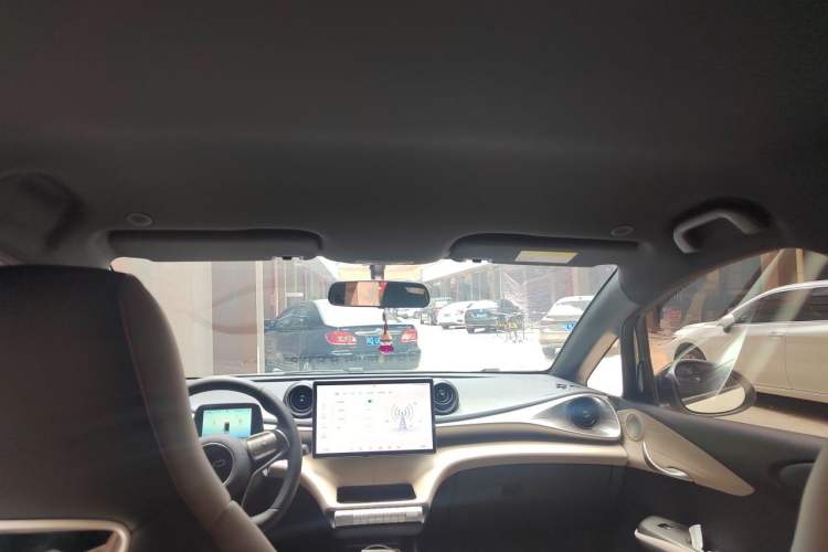 Used BYD Dolphin 2025 420km Free Edition Headliner
