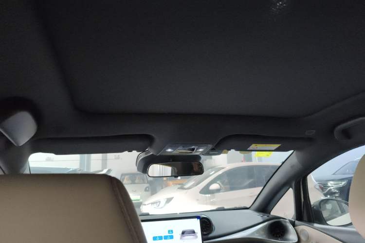 Used BYD Dolphin 2025 Intelligent Driving Version 410 km Fashion Edition Headliner