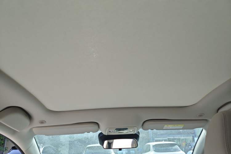 Used BYD Dolphin 2025 Intelligent Driving Version 410 km Fashion Edition Headliner