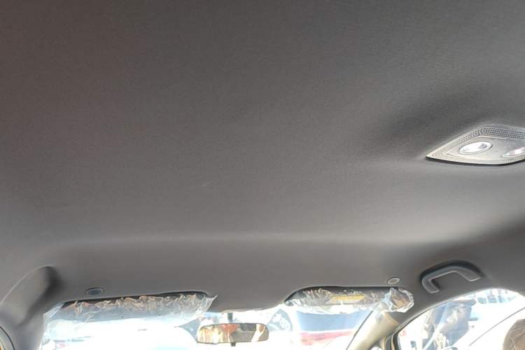 Used BYD Dolphin 2025 420km Free Edition Headliner