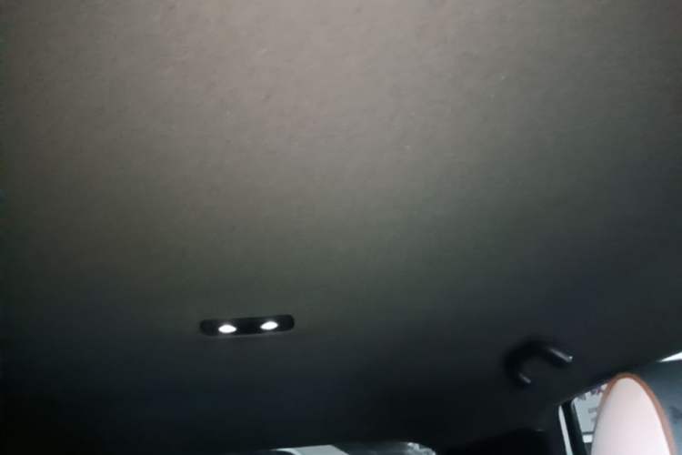 Used BYD Dolphin 2025 420km Active Version Headliner