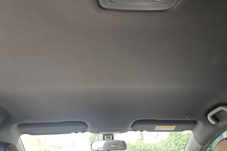 Used BYD Dolphin 2025 420km Free Edition Headliner