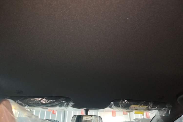 Used BYD Dolphin 2025 420km Free Edition Headliner