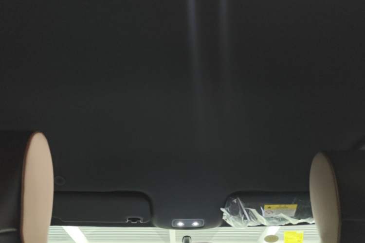 Used BYD Dolphin 2025 420km Free Edition Headliner