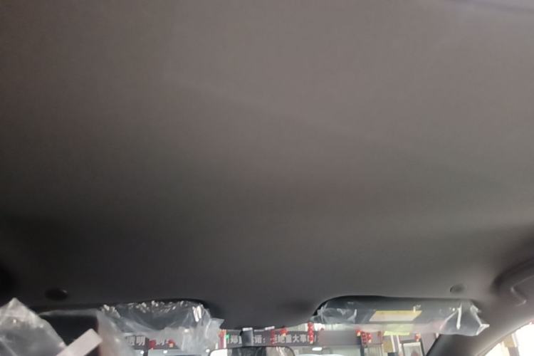 Used BYD Dolphin 2025 420km Free Edition Headliner