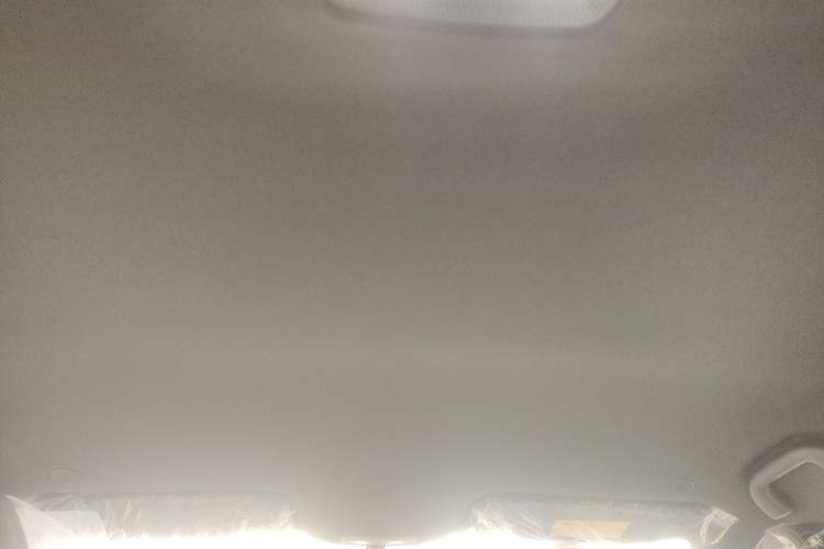 Used BYD Dolphin 2025 420km Free Edition Headliner