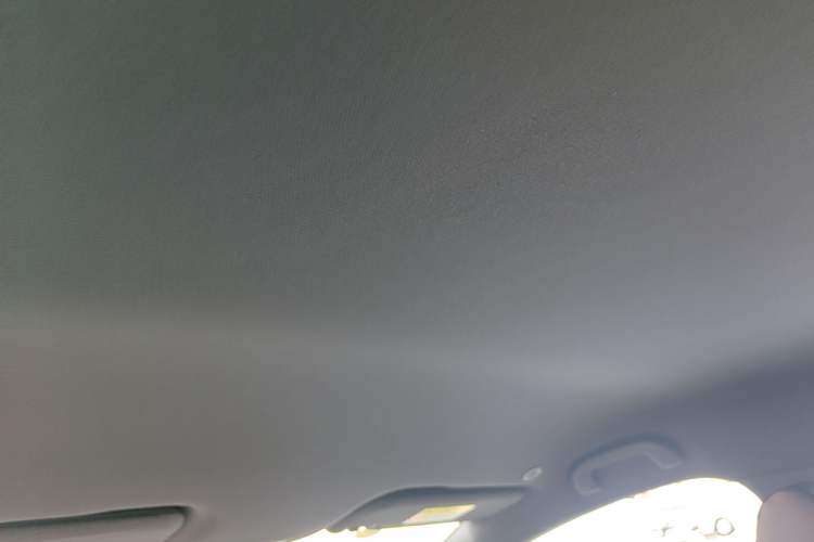 Used BYD Dolphin 2025 420km Free Edition Headliner