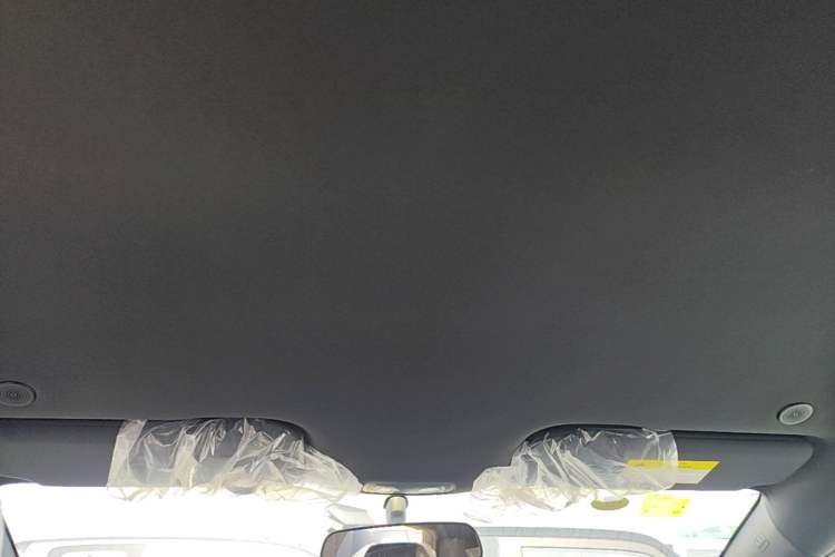 Used BYD Dolphin 2025 420km Free Edition Headliner
