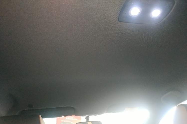 Used BYD Dolphin 2025 420km Free Edition Headliner