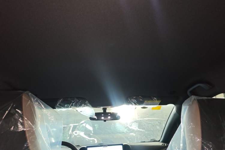Used BYD Dolphin 2025 420km Free Edition Headliner