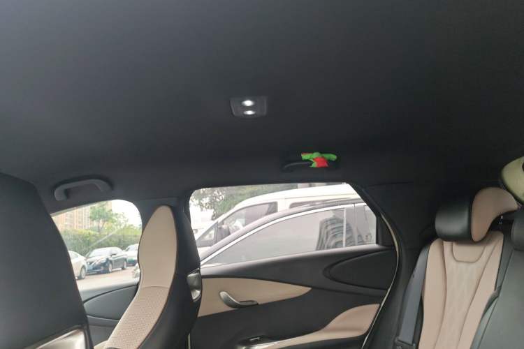 Used BYD Dolphin 2025 420km Free Edition Headliner
