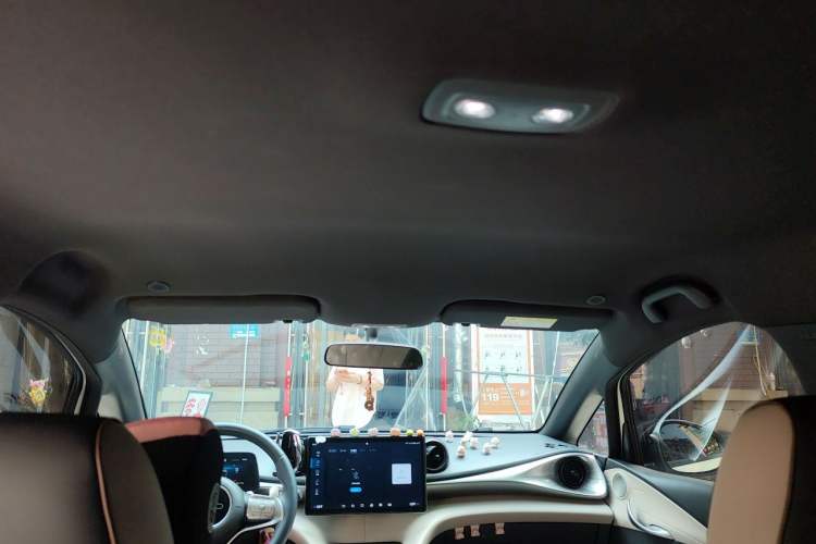 Used BYD Dolphin 2025 420km Free Edition Headliner