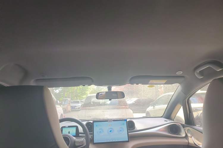 Used BYD Dolphin 2025 420km Free Edition Headliner