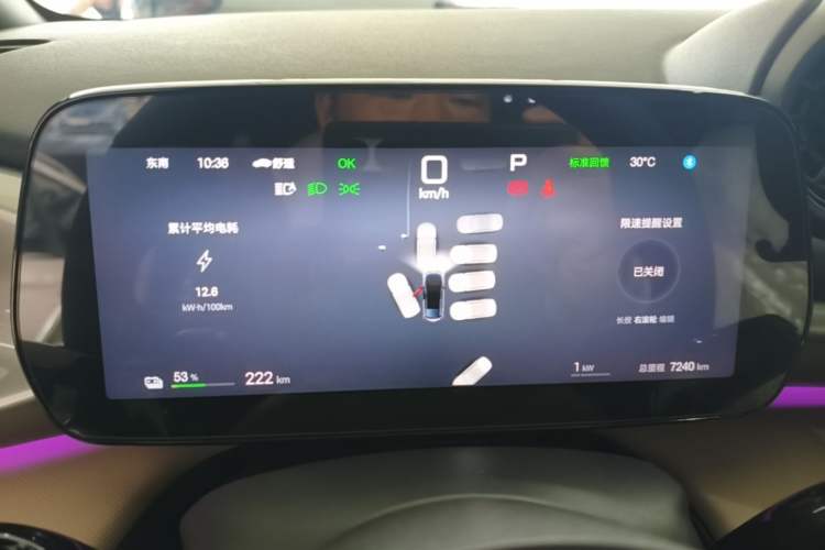 Used BYD Dolphin 2025 Smart Drive Version 420 km Freedom Edition Instrument Cluster