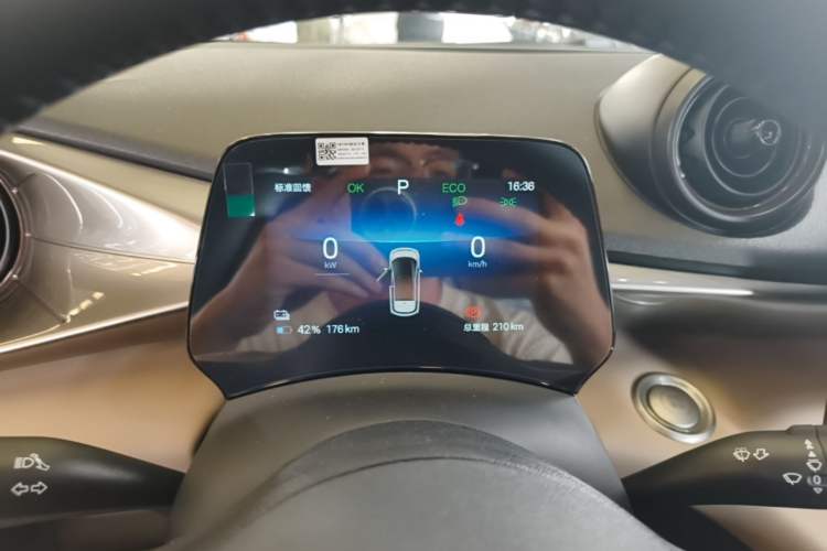 Used BYD Dolphin 2025 420km Free Edition Instrument Cluster