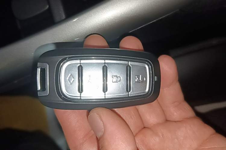 Used BYD Dolphin 2025 Smart Drive Version 420 km Freedom Edition Interior 1