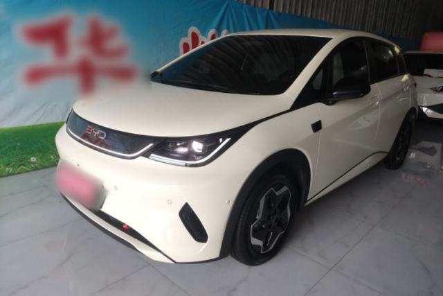 Used BYD Dolphin 2025 Smart Drive Version 420 km Freedom Edition