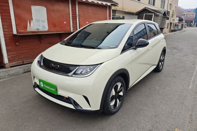 BYD Dolphin 2025 420km Free Edition usata