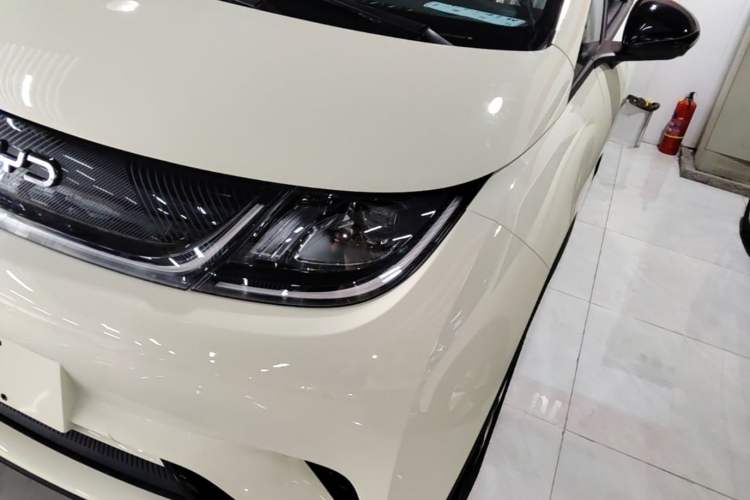 Used BYD Dolphin 2025 420km Free Edition Left Front Headlight