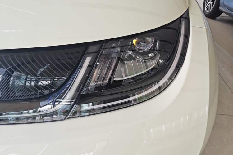 Used BYD Dolphin 2025 420km Free Edition Left Front Headlight
