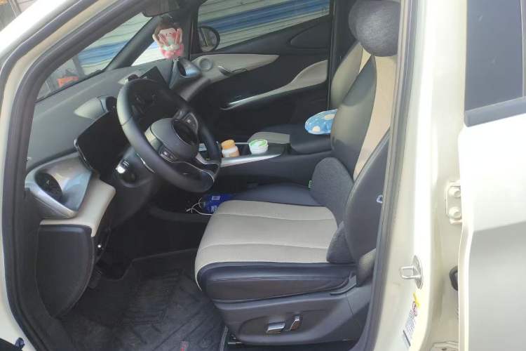 Used BYD Dolphin 2025 Smart Drive Version 420 km Freedom Edition Left Front Seat