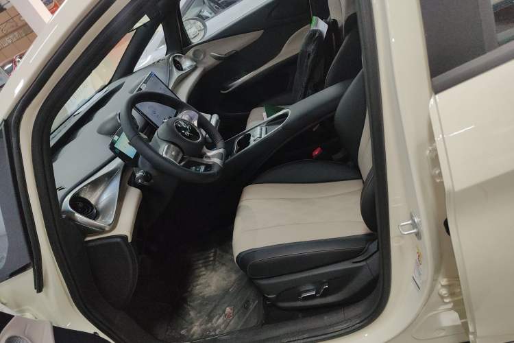 Used BYD Dolphin 2025 420km Free Edition Left Front Seat