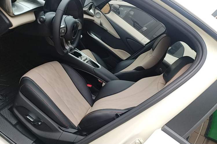 Used BYD Dolphin 2025 420km Free Edition Left Front Seat
