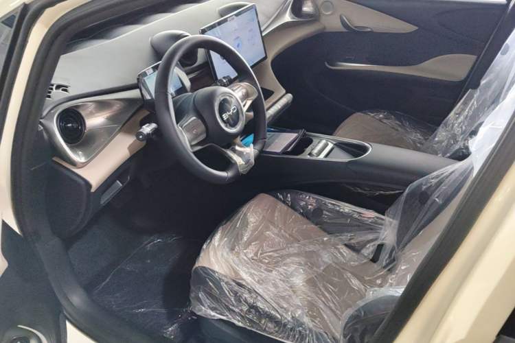 Used BYD Dolphin 2025 420km Free Edition Left Front Seat