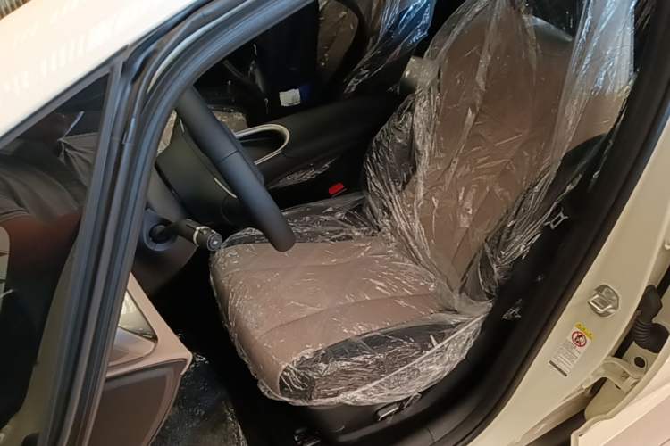 Used BYD Dolphin 2025 420km Free Edition Left Front Seat
