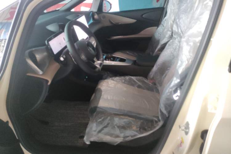 Used BYD Dolphin 2025 Smart Drive Version 420 km Freedom Edition Left Front Seat