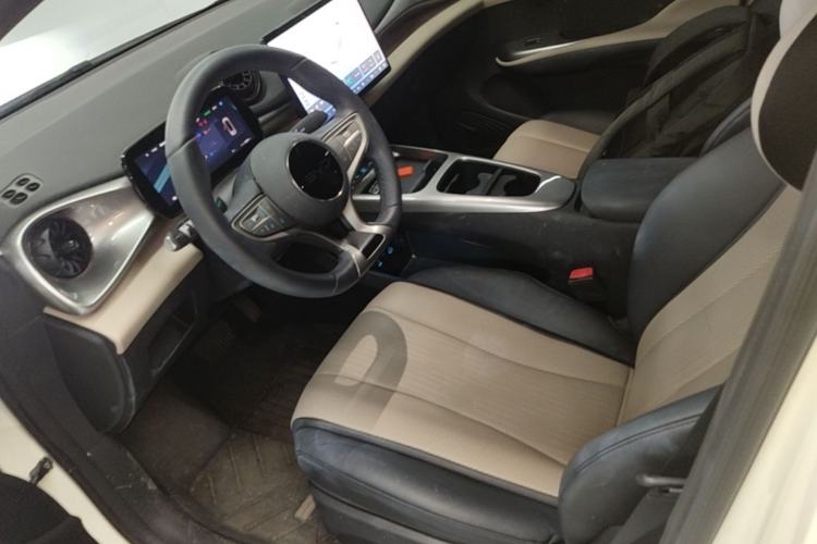 Used BYD Dolphin 2025 Smart Drive Version 420 km Freedom Edition Left Front Seat