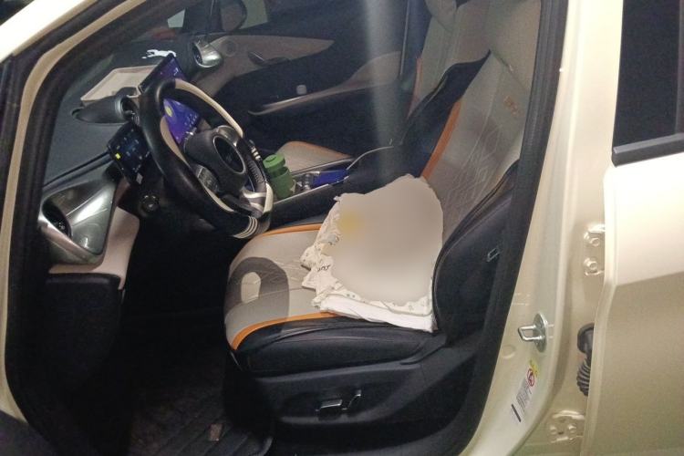 Used BYD Dolphin 2025 420km Free Edition Left Front Seat