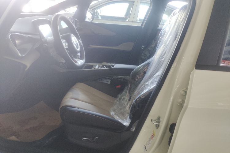 Used BYD Dolphin 2025 420km Free Edition Left Front Seat