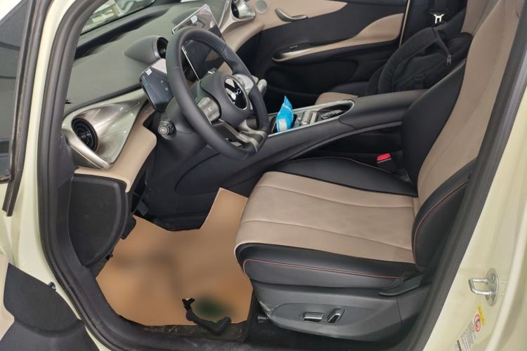 Used BYD Dolphin 2025 420km Free Edition Left Front Seat