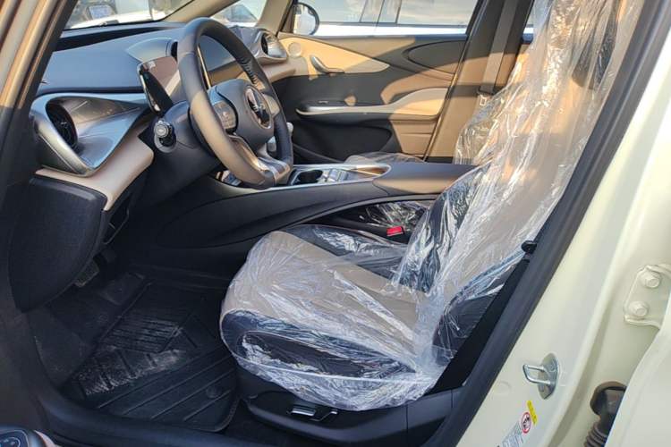Used BYD Dolphin 2025 420km Free Edition Left Front Seat