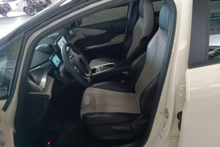 Used BYD Dolphin 2025 420km Active Version Left Front Seat