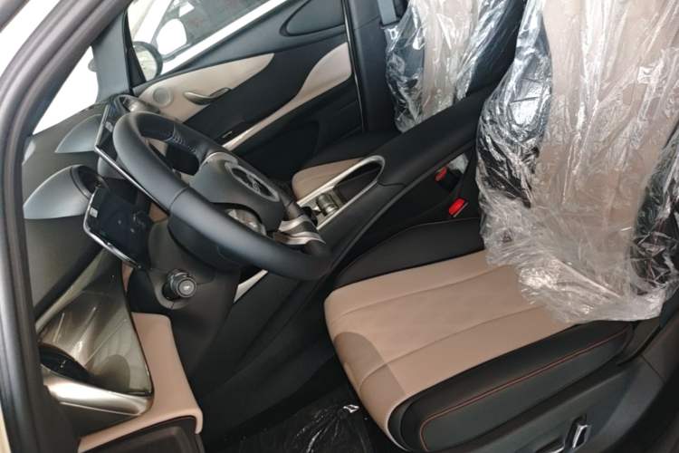 Used BYD Dolphin 2025 420km Free Edition Left Front Seat