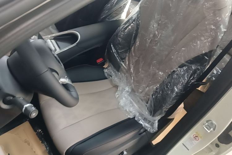 Used BYD Dolphin 2025 420km Free Edition Left Front Seat