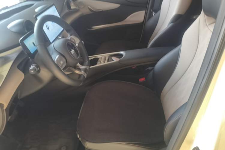 Used BYD Dolphin 2025 420km Free Edition Left Front Seat