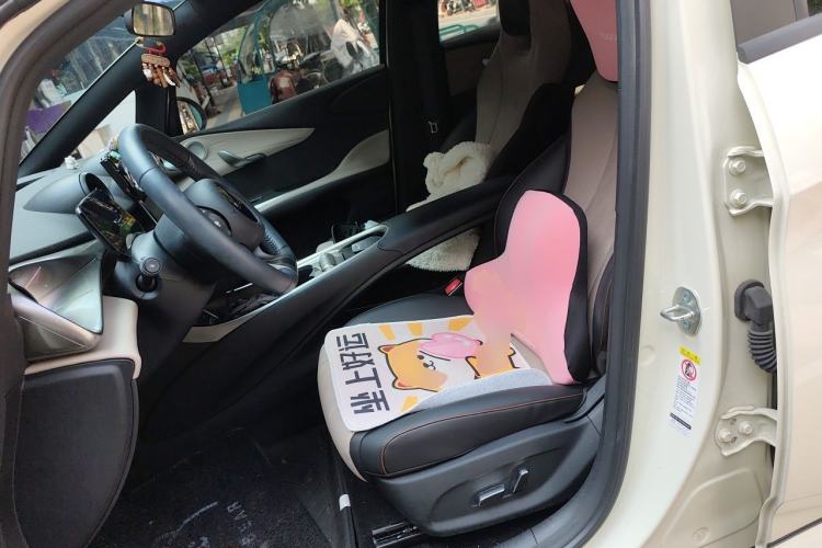Used BYD Dolphin 2025 420km Free Edition Left Front Seat