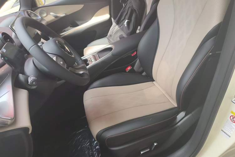 Used BYD Dolphin 2025 420km Free Edition Left Front Seat