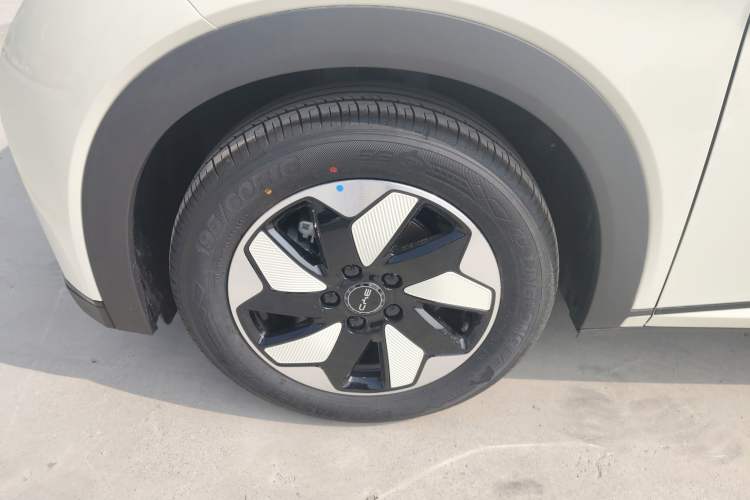 Used BYD Dolphin 2025 420km Free Edition Left Front Wheel Hub