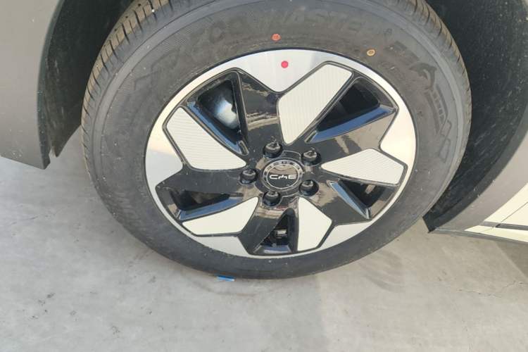 Used BYD Dolphin 2025 420km Free Edition Left Front Wheel Hub