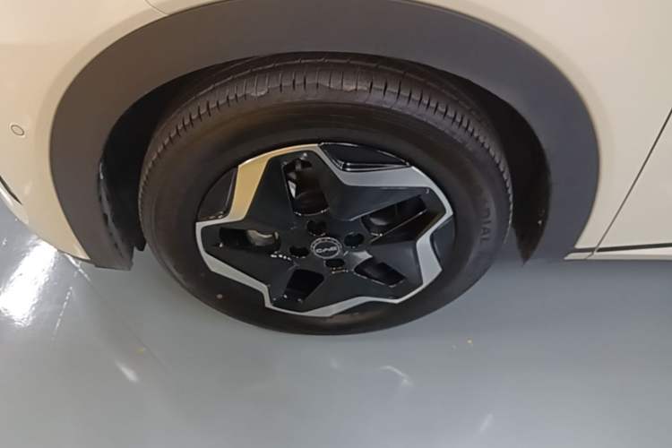 Used BYD Dolphin 2025 Smart Drive Version 420 km Freedom Edition Left Front Wheel Hub