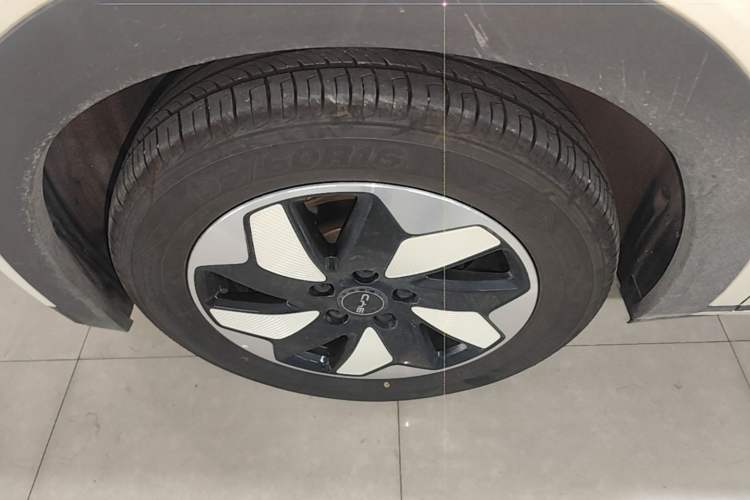 Used BYD Dolphin 2025 420km Free Edition Left Front Wheel Hub
